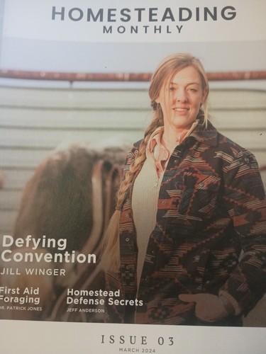 Log cabin homes magazine march - log,