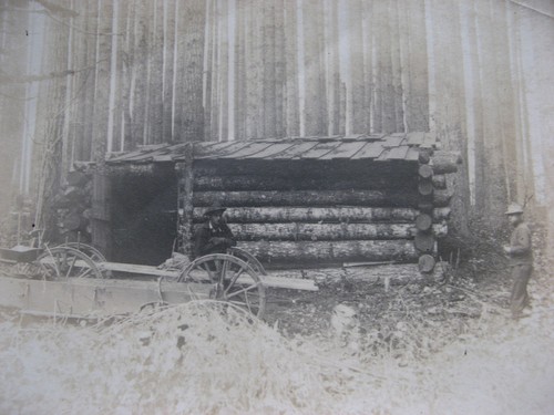 1890s log cabin - cabin, loggers