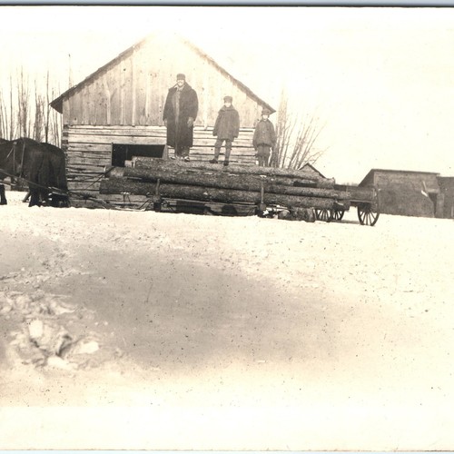 C1910s logging sled horse - logging, team